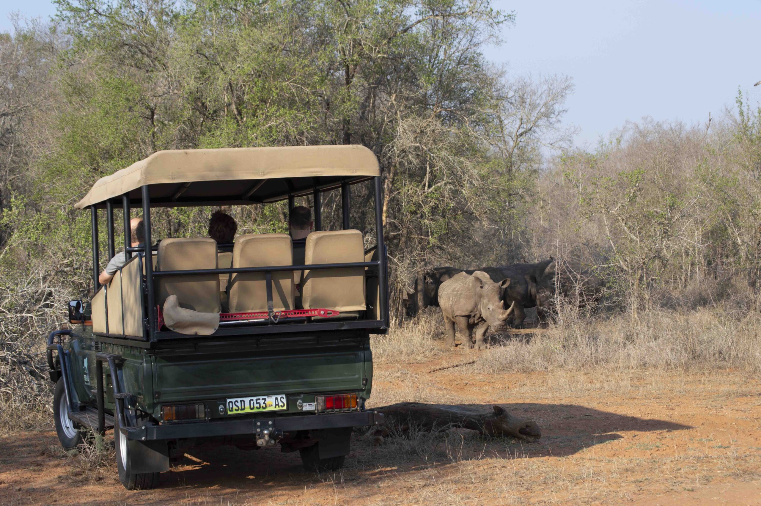 , Safari en África con niños