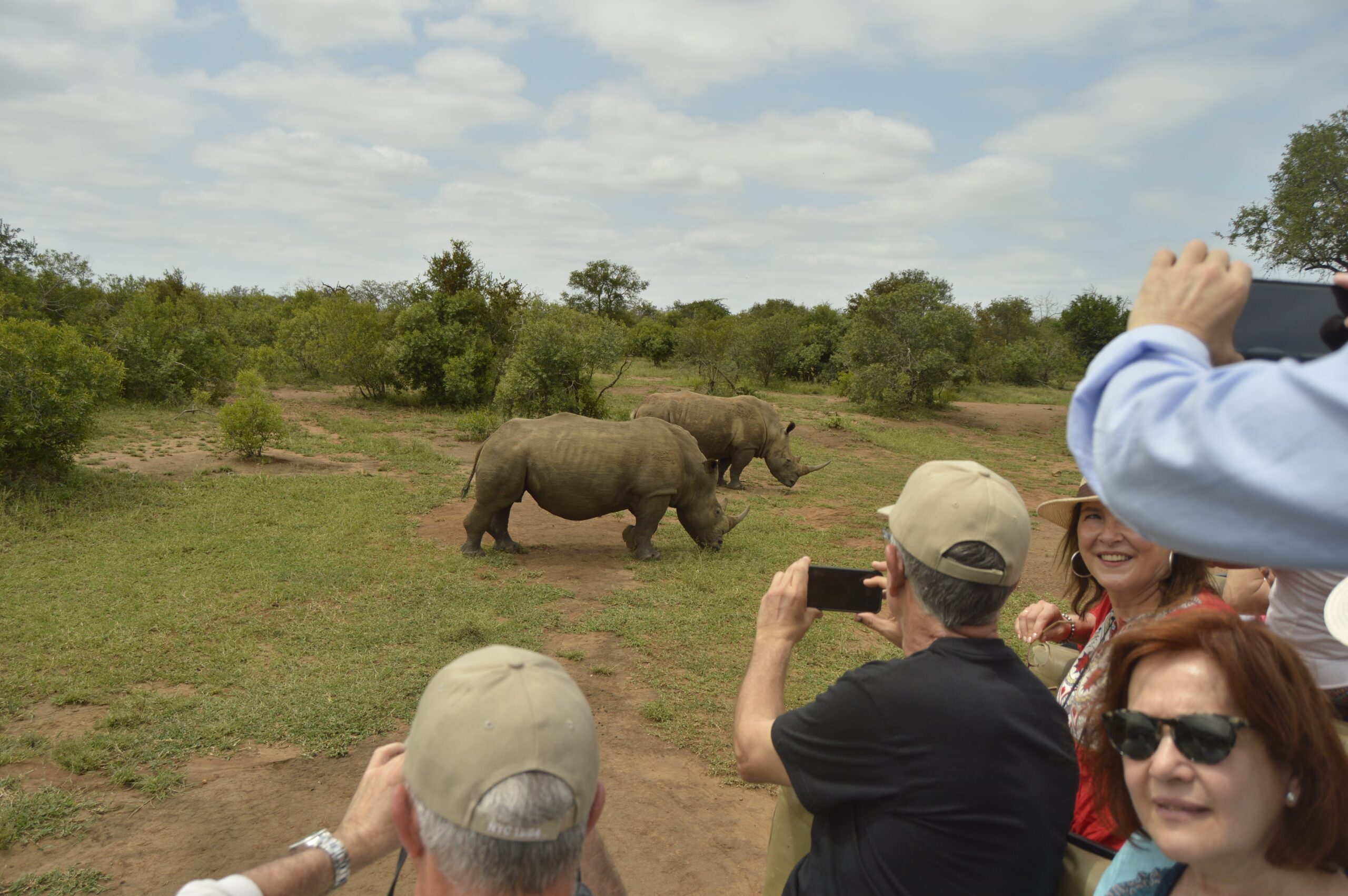 , Safari en Eswatini