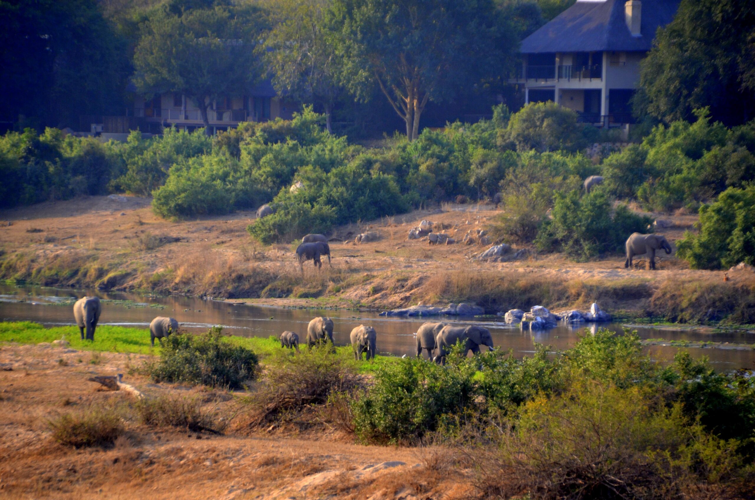 , Safari en África con niños